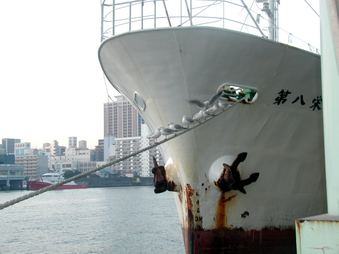 Enlarge photo 36