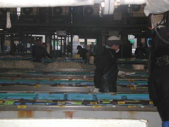 Enlarge photo 42
