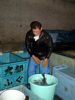 Enlarge photo 43