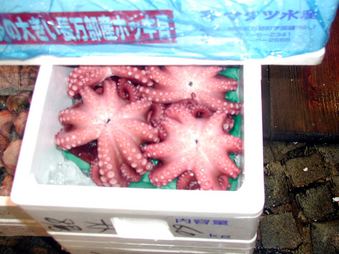 Enlarge photo 50