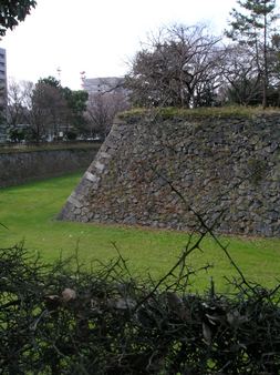 Enlarge photo 41
