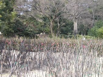 Enlarge photo 21