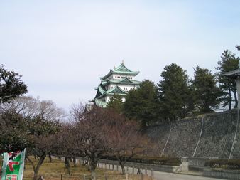 Enlarge photo 30
