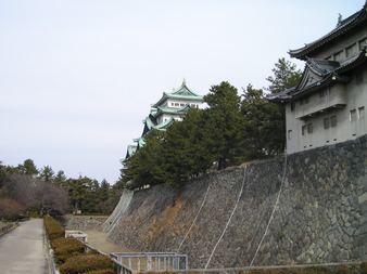 Enlarge photo 46