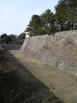 Enlarge photo 40