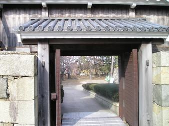 Enlarge photo 85