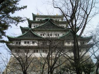 Enlarge photo 83