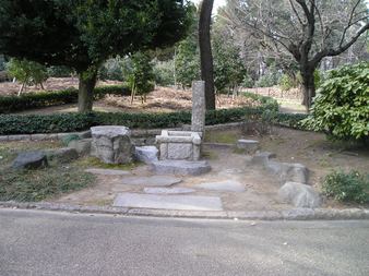 Enlarge photo 102