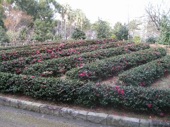 Enlarge photo 103