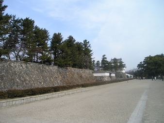 Enlarge photo 106