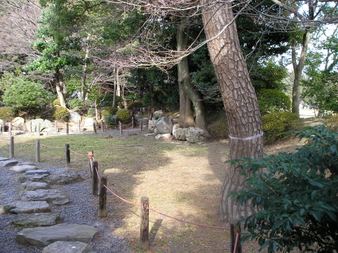 Enlarge photo 114