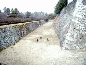 Enlarge photo 47