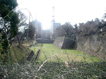 Enlarge photo 117