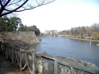 Enlarge photo 116