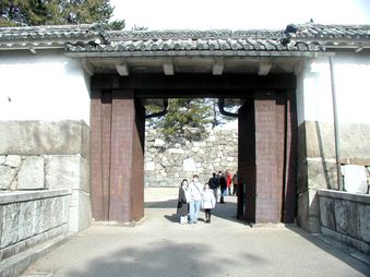 Enlarge photo 127