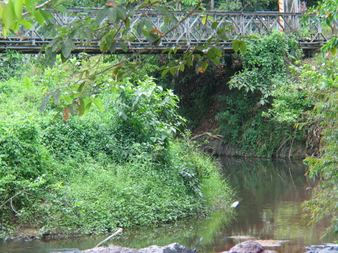 Enlarge photo 106
