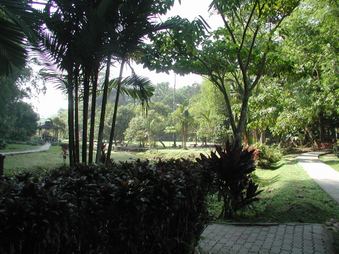 Enlarge photo 14