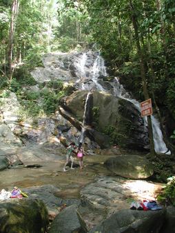 Enlarge photo 27