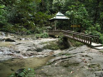 Enlarge photo 37