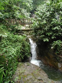 Enlarge photo 38