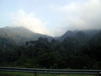 Enlarge photo 40