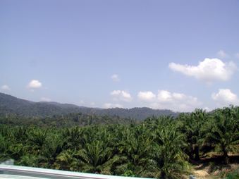 Enlarge photo 41