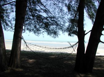 Enlarge photo 48