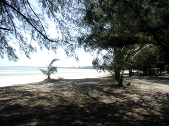 Enlarge photo 49