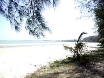 Enlarge photo 50
