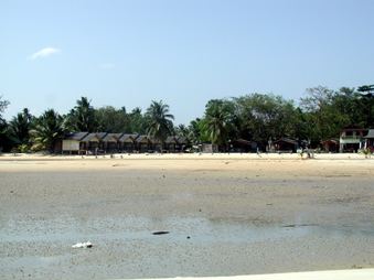 Enlarge photo 53