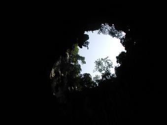 Enlarge photo 71