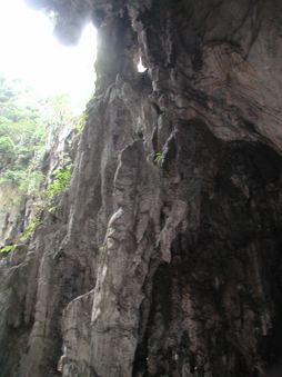 Enlarge photo 73