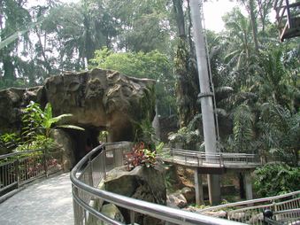 Enlarge photo 79