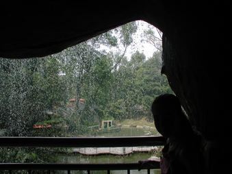 Enlarge photo 81