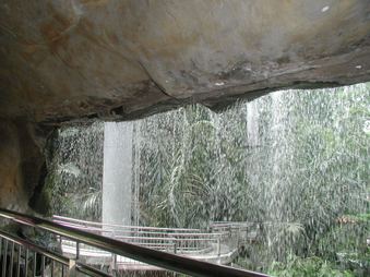 Enlarge photo 83