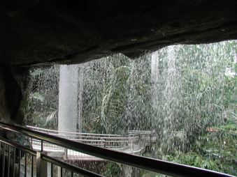 Enlarge photo 84