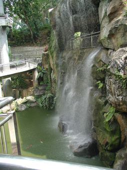 Enlarge photo 86