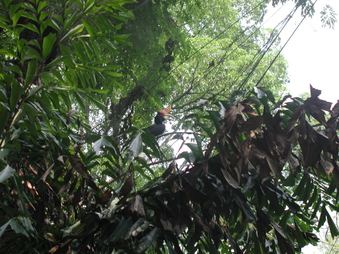 Enlarge photo 88