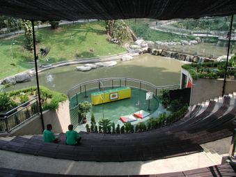 Enlarge photo 90