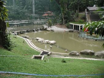 Enlarge photo 95