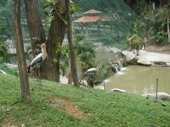 Enlarge photo 98