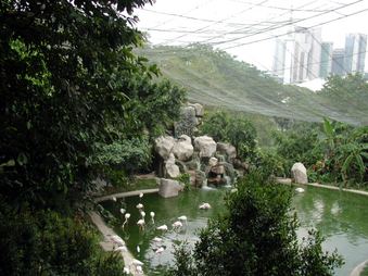 Enlarge photo 154