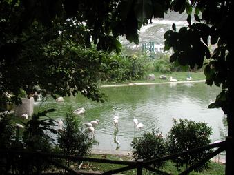 Enlarge photo 156