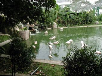 Enlarge photo 157