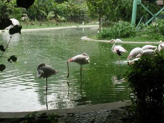 Enlarge photo 158