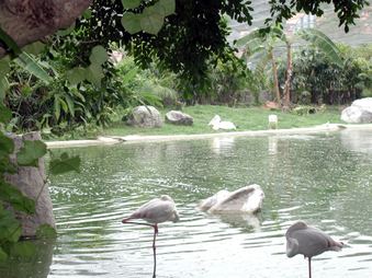Enlarge photo 159