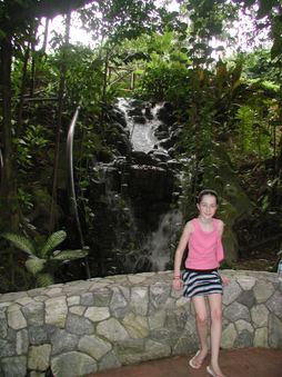 Enlarge photo 161