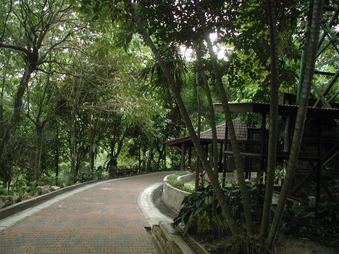 Enlarge photo 167
