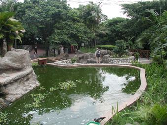 Enlarge photo 169