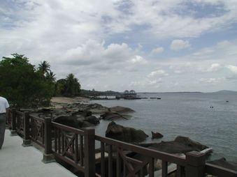 Enlarge photo 213